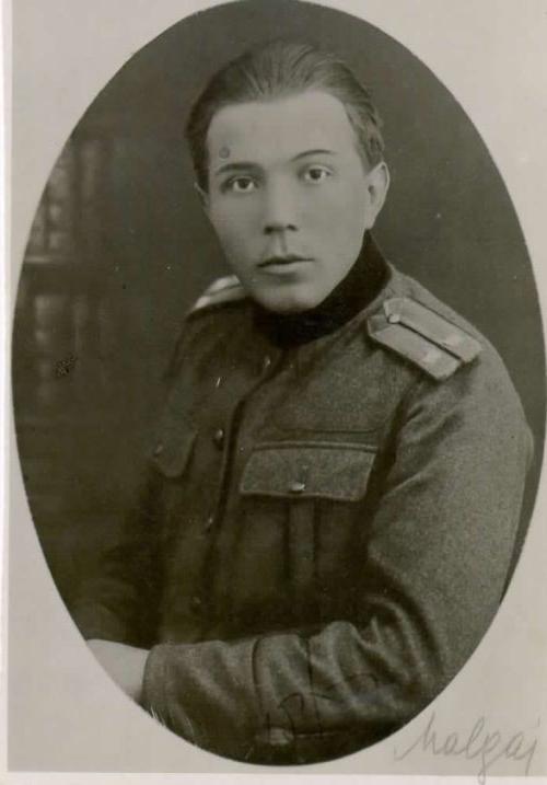 Celjan, ki je branil Koroško