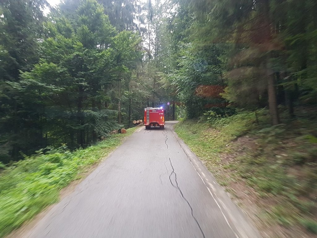 Zagorelo v hlevu v Sv. Danijelu